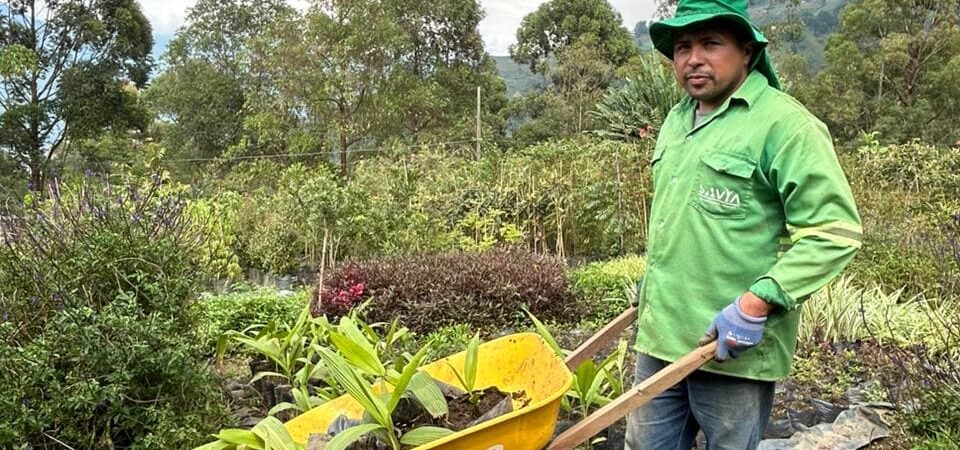 La Importancia de un Vivero en la Gestión Ambiental